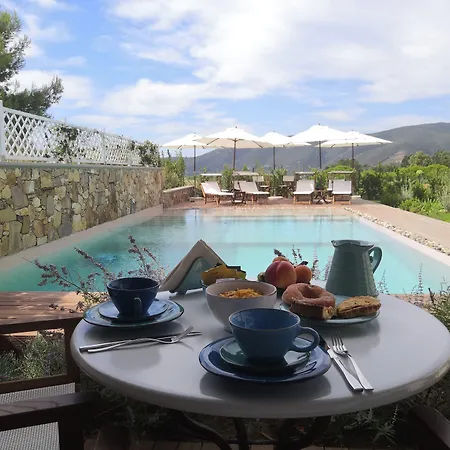 Couette-café Stile Libero Lacona